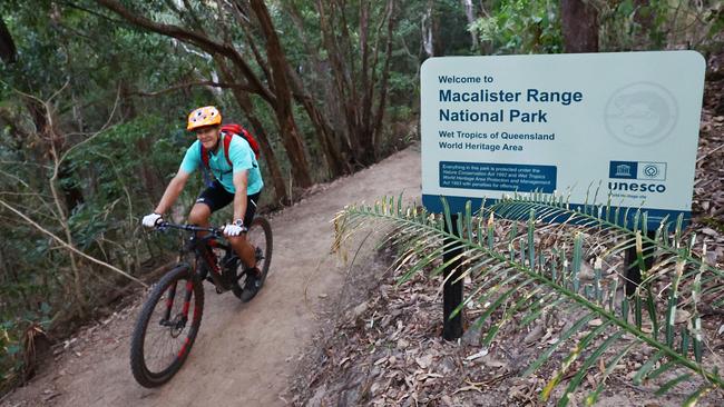 A mountain bike rider peddles along Stage One of the Wangetti Trail, an 7.8km stretch of what will eventually become a 94km hiking and mountain biking track connecting Palm Cove to Port Douglas along the Macalister Range National Park. Picture: Brendan Radke