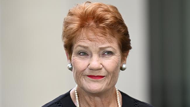 One Nation Leader Pauline Hanson said the party’s May election performance had nabbed a “historic” result. NewsWire / Martin Ollman