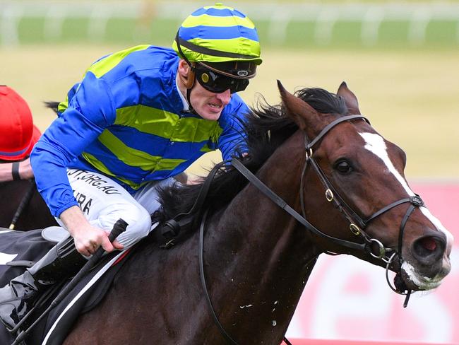 Jockey Mark Zahra rides Southern France to victory in race 8, the Zipping Classic, during the Zipping Classic Race Day at Sandown Racecourse in Melbourne, Saturday, November 16, 2019. (AAP Image/Vince Caligiuri) NO ARCHIVING, EDITORIAL USE ONLY