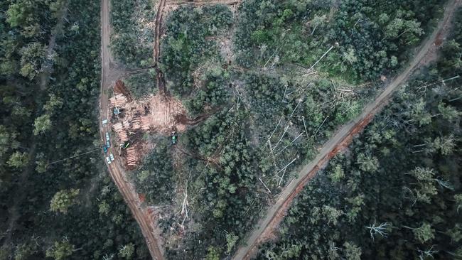 Aerial view of a logging coupe in Tasmania. Picture: Supplied