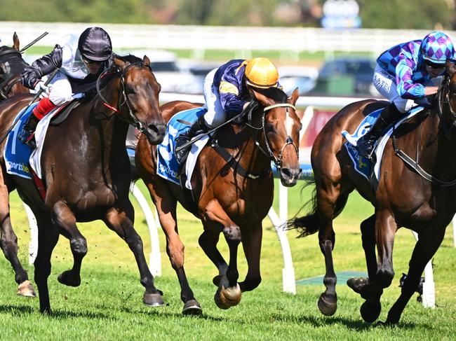 MELBOURNE, AUSTRALIA - FEBRUARY 10: Craig Williams riding Mr Brightside (L) defeats Declan Bates riding Pride of Jenni and Celine Gaudray riding Buffalo River in Race 9, the Sportsbet C.f. Orr Stakes during Melbourne Racing at Caulfield Racecourse on February 10, 2024 in Melbourne, Australia. (Photo by Vince Caligiuri/Getty Images)