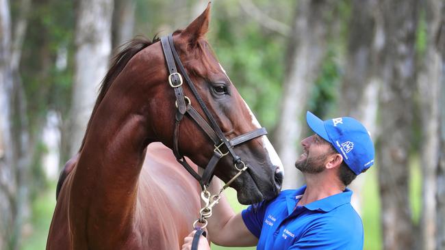 Mare  Sexy Eyes and Gold Coast foreman Paul Shailer from Chris Waller's Gold coast stables, go for a stroll. Picture Glenn Hampson