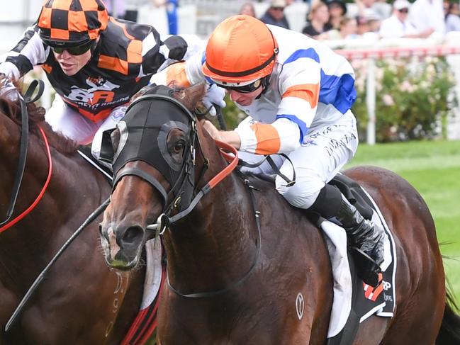 Veight ridden by Damian Lane wins the Sharp EIT Solutions Australia Stakes at Moonee Valley Racecourse on January 27, 2024 in Moonee Ponds, Australia. (Photo by Brett Holburt/Racing Photos via Getty Images)