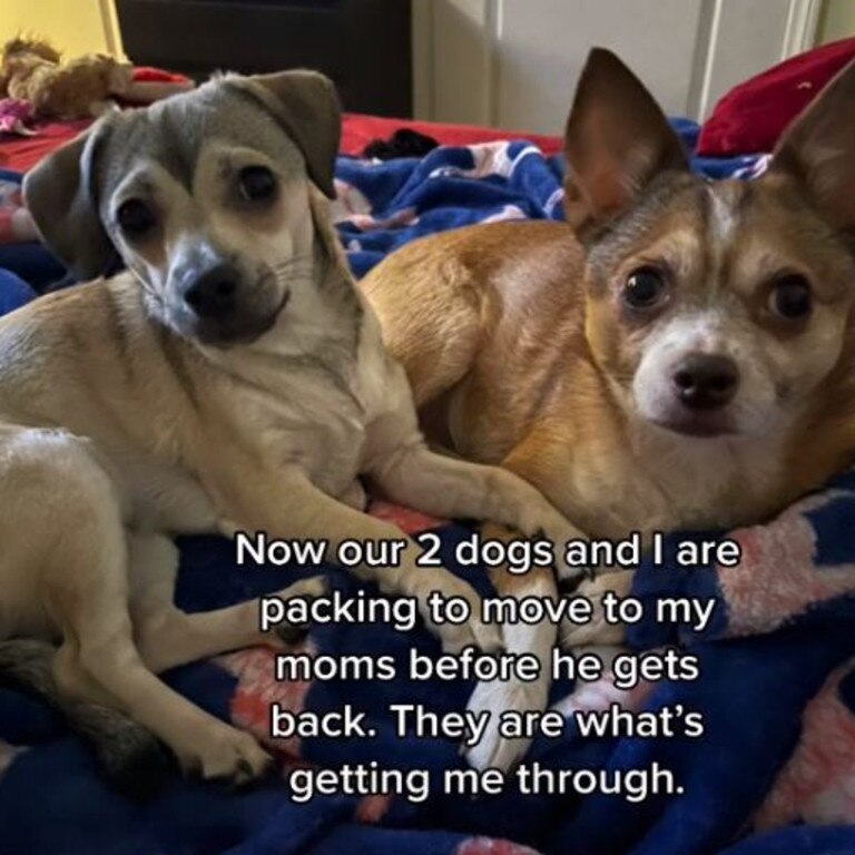 She left with their two dogs and said she’s ‘never going back’. Picture: TikTok/mariahmajik