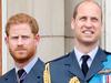 William’s guerrilla war against Harry