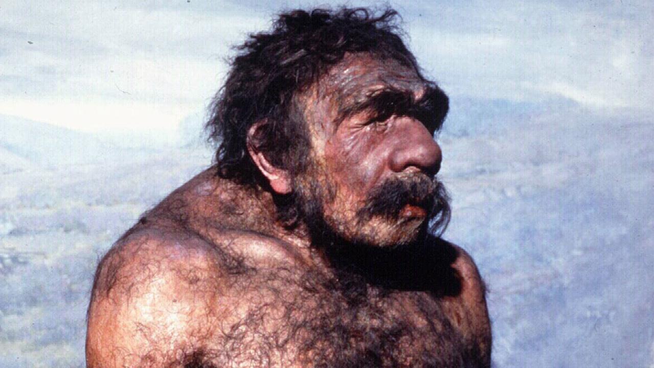 Neanderthals And Humans Were Neighbours, Study Finds | KidsNews