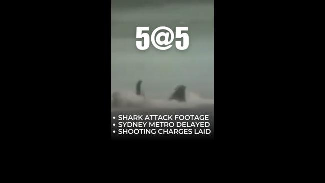 WATCH: Shark attack footage under police investigation | Daily Telegraph