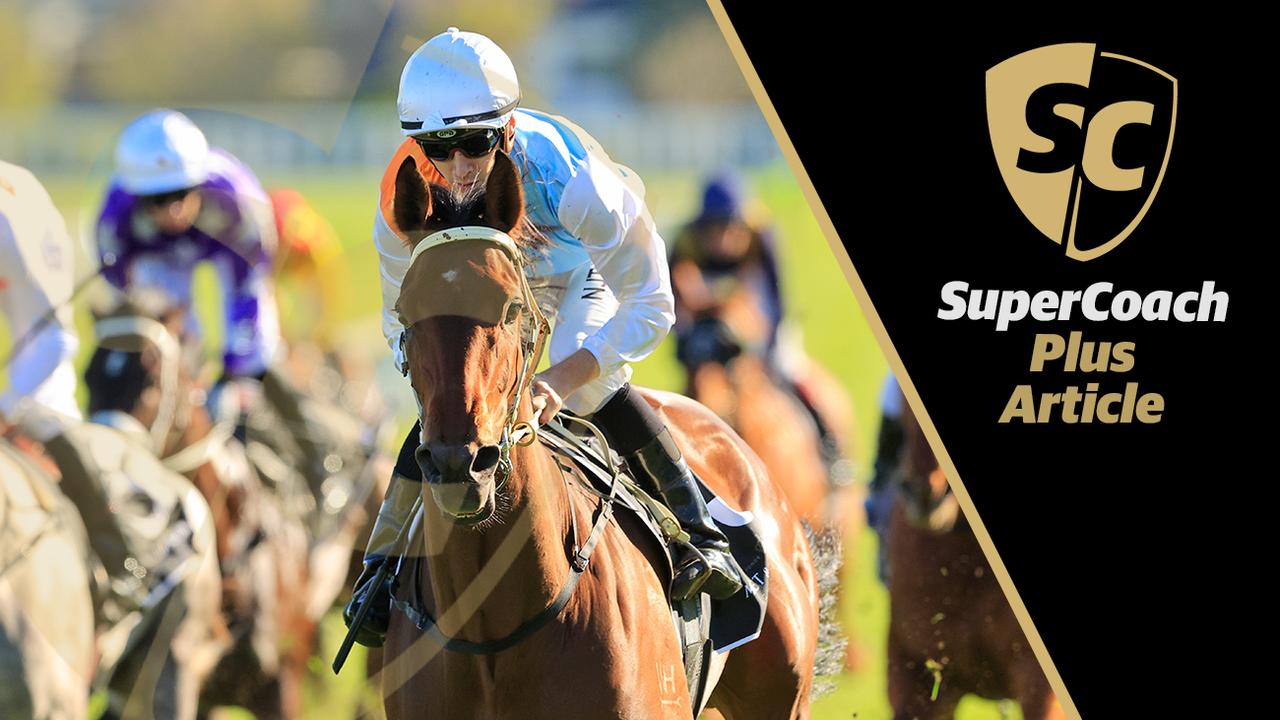 SC Plus Article: Metric picks for Mackinnon Stakes Day