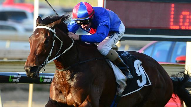 Brisbane Cup winner Chocante finished third to Winx first-up in the Chelmsford Stakes. Picture: Grant Peters, Trackside Photography