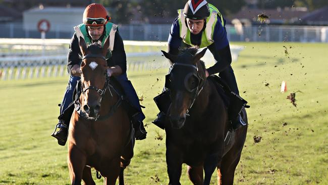 Is an early morning canter the solution? Punters have felt cheated the past fortnight with jockeys claiming the track was playing far worse than the official reading both weeks. Picture: Annette Dew