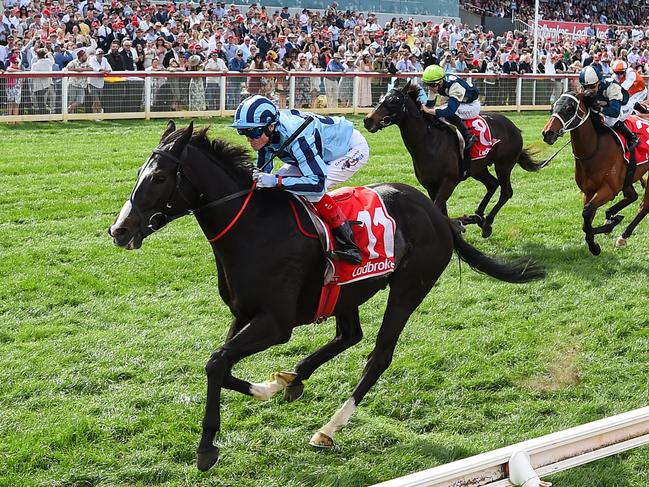 Onesmoothoperator (USA) ridden by Craig Williams wins the Ladbrokes Geelong Cup at Geelong Racecourse on October 23, 2024 in Geelong, Australia. (Reg Ryan/Racing Photos via Getty Images)