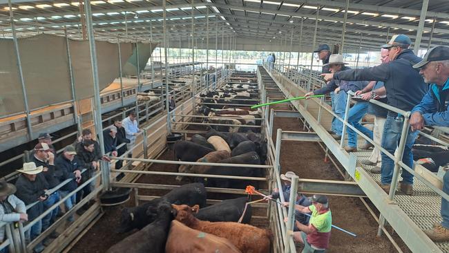 Livestock agents and buyers pictured at the rail during the Echuca cattle sale. Picture: Jenny Kelly