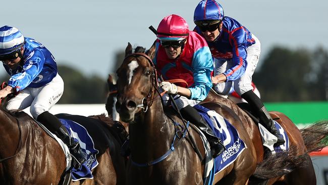 KEMBLA GRANGE, AUSTRALIA - NOVEMBER 23: Blake Spriggs riding Headwall wins Race 9 Snap Print Solutions Wollongong The Warra during 