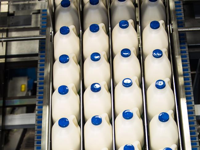 Fonterra Cobden factory conveyor belt.