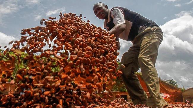 A farmer in Ivory Coast moves his cocoa beans on his farm. Fairtrade ensures farmers are paid a fair price for their crop. PHOTO: LEGNAN KOULA/EUROPEAN PRESSPHOTO AGENCY