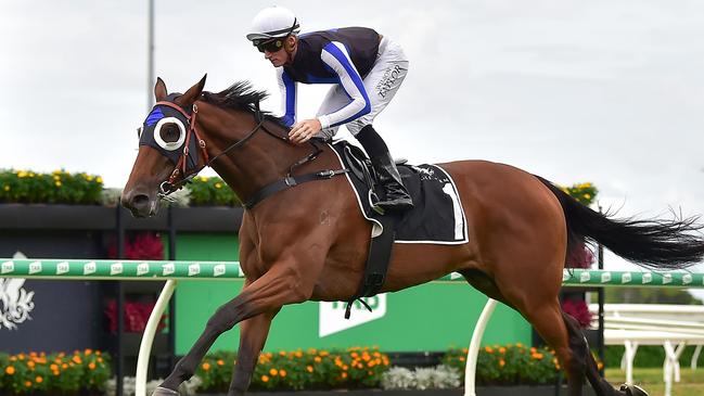 Gypsy Goddess is set to trial ahead of her first-up Golden Eagle tilt.