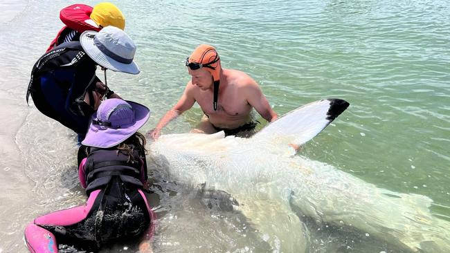 The Hughes family with the Great White shark. Photos: Supplied