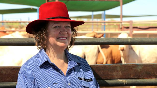 Gina Rinehart.