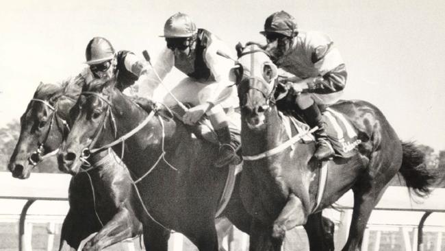 January 9, 1988 — Molokai Prince ridden by jockey Ron Quinton is bumped by Prince Regent. Pic: Barry Pascoe