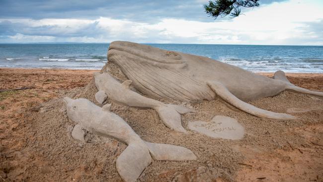 Welcome to the Whales will be part of Redcliffe Kitefest 2019. Picture: Dominika Lis