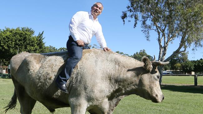 Mayor Tom Tate. Picture Glenn Hampson