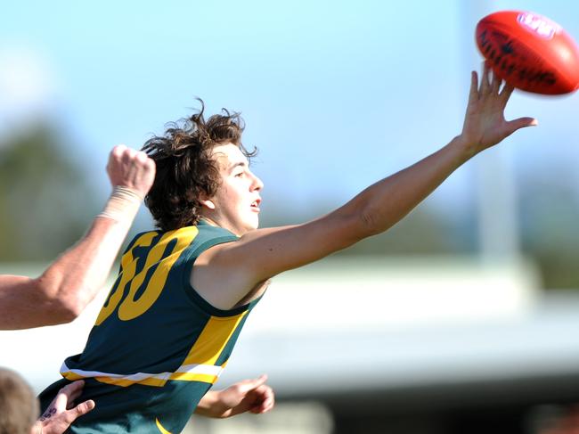 Maroochydore's William Kristelly uses his long reach to get to the ball in the Maroochydore v Palm Beach Currumbin AFL match at Maroochydore.Photo: Iain Curry / Sunshine Coast Daily