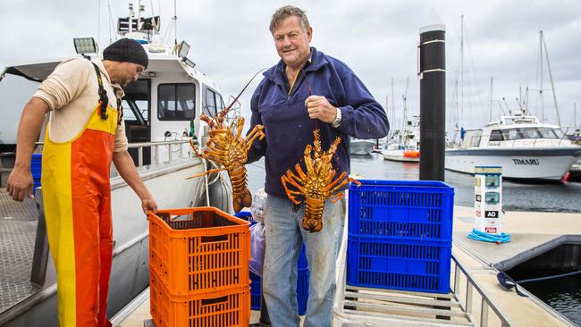 Peter Price, 64, has been a crayfisherman in Portland, Victoria, for 35 years, but the family business has been devastatedby the Chinese restrictions. Picture: Aaron Francis