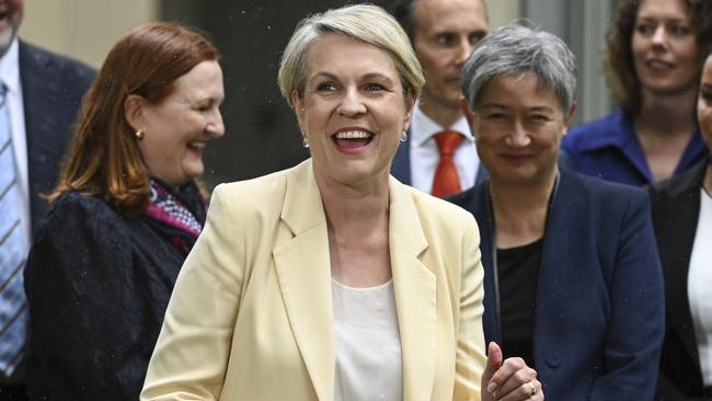 Environment Minister Tanya Plibersek. Picture: NCA NewsWire / Martin Ollman