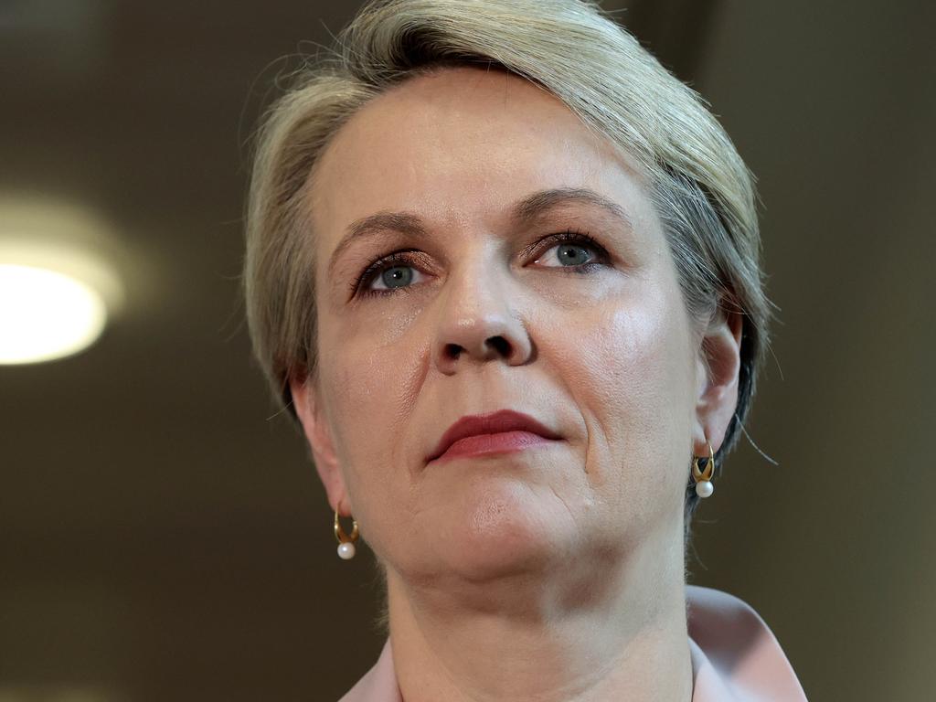 Tanya Plibersek has slammed the PM over comments made at the cabinet reshuffle announcement. Picture: NCA NewsWire / Gary Ramage