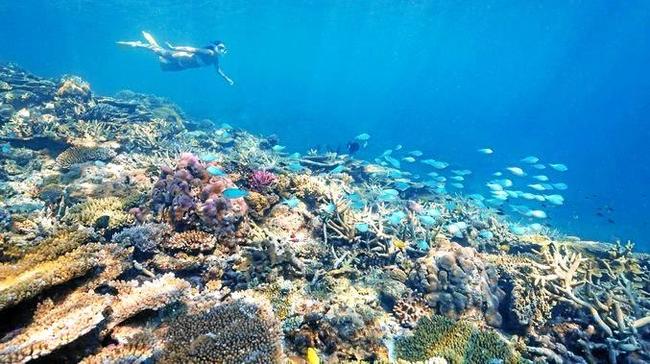 HOT SPOT: Heron Island, one of the many treasures within the Southern Great Barrier Reef. . Picture: James Vodicka