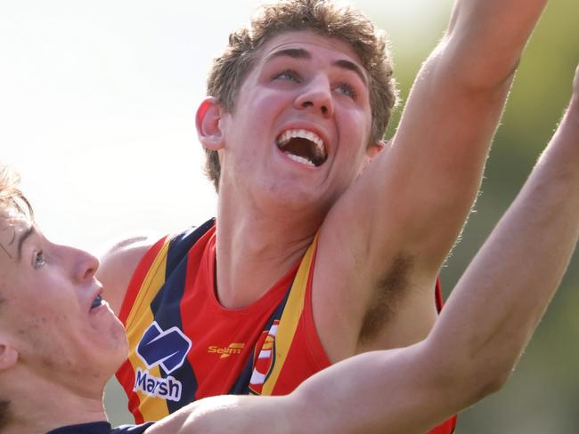 Sturt ruckman Alex Dodson in action for South Australia at the AFLunder-18 national championships. Picture: Cory Sutton