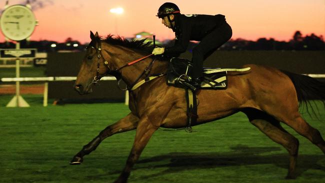 Brenton Avdulla and Haut Brion Her during an Everest trackwork session.