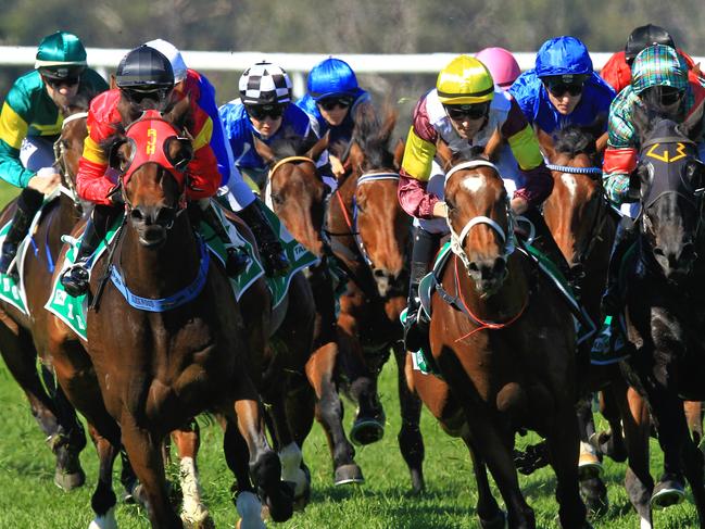 Loving home ridden by Tye Angland  (yellow cap, maroon with yellow armbands) wins race 1 during Scone  Races located in the Upper Hunter Region of NSW. The Bend . Pic Jenny Evans