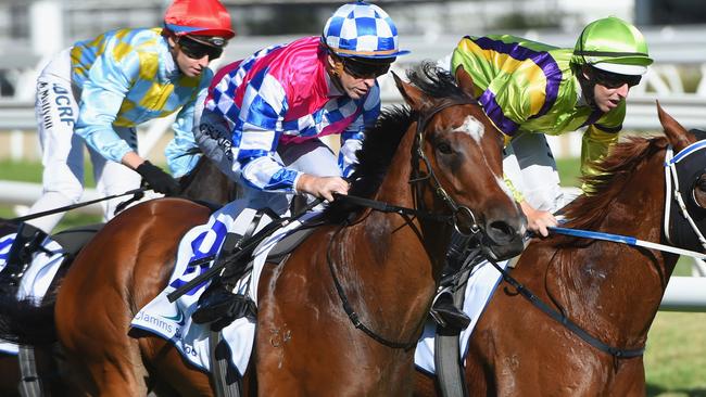 Fell Swoop is right in the mix for the Group 1 The Galaxy on Saturday.