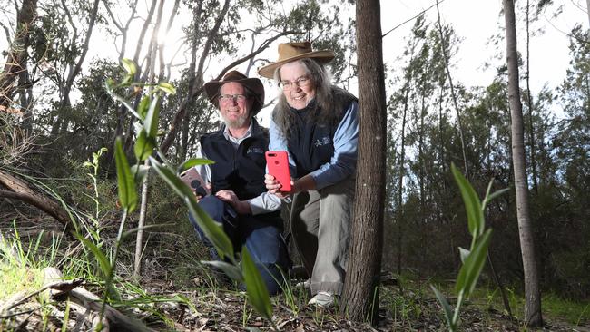 Dr Robert and Rosalie Lawrence of Brooklyn Park are the driving force behind Wild Orchid Watch, a national citizen science project designed to collect, record and share scientific information about Australian native orchids, based at the University of Adelaide. Robert and Rosalie at Onkaparinga River National Park looking for wild orchids. Picture: Tait Schmaal.