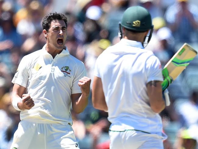 Starc celebrates taking the crucial wicket of Faf du Plessis.