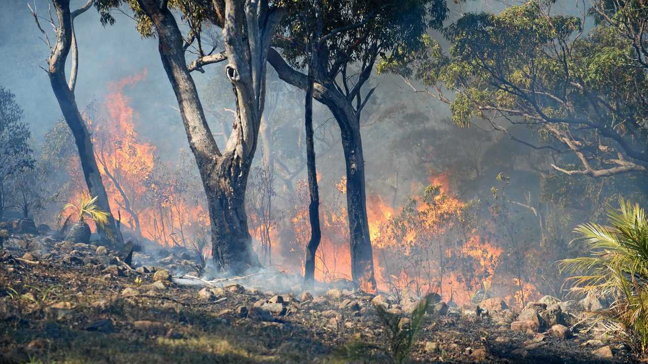 Latest update on fire fighting progress on Mt Archer | The Courier Mail