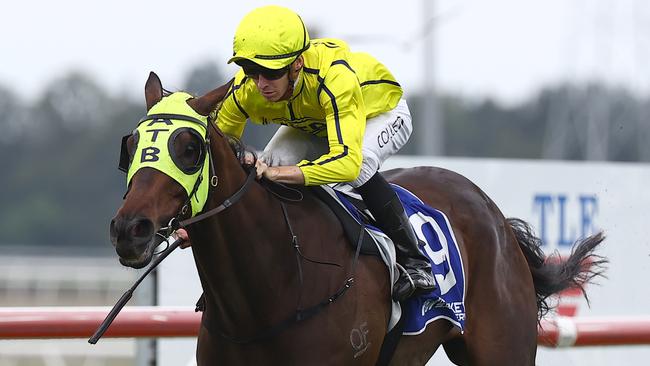 Detonator Jack was a brilliant winner of The Gong. Picture: Jeremy Ng / Getty Images