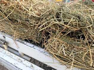 A lot of lucerne hay is being fed in the drought. Picture: Gerard Walsh