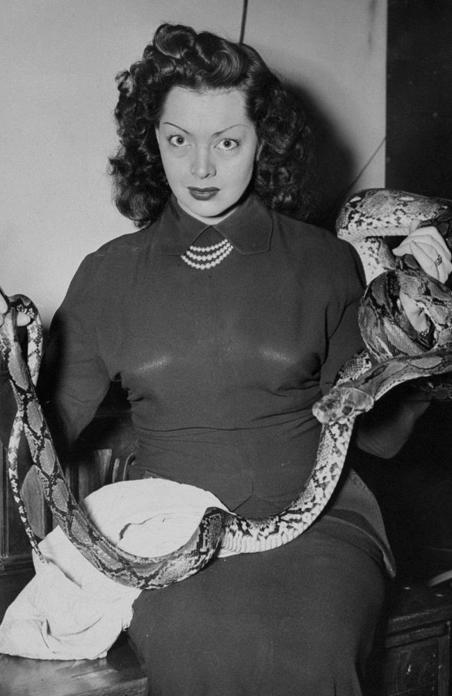 Snake lady ... post-war burlesque legend dancer Vera Zorita, with her python, Elmer. Picture: Getty Images