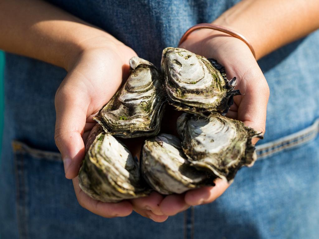 The Oyster Farm Shop, Kangaroo Island. Picture: Josie Withers