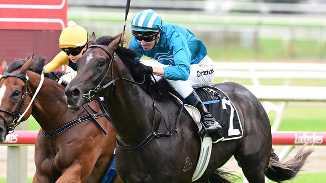 Fukubana will strive to give Matthew Dunn a second win in the Country Championships Final. Picture: Grant Peters/Trackside Photography