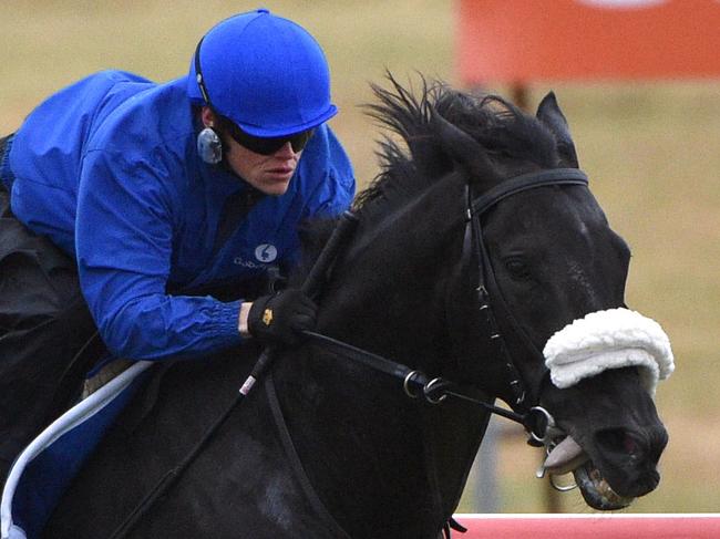 MELBOURNE, AUSTRALIA - OCTOBER 27: Craig Williams riding Cavalryman (r) gallops with Willing Foe during a trackwork session at Werribee Racecourse on October 27, 2014 in Melbourne, Australia. (Photo by Vince Caligiuri/Getty Images)