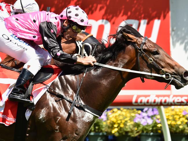 MELBOURNE, AUSTRALIA - FEBRUARY 13: Damien Oliver riding Flying Artie defeats Dwayne Dunn riding Star Turn in Race 4, Blue Diamond Prelude during Melbourne Racing at Caulfield Racecourse on February 13, 2016 in Melbourne, Australia. (Photo by Vince Caligiuri/Getty Images)