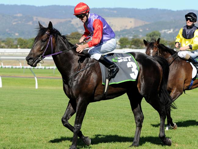 Go Dreaming is Katelyn Mallyon’s mount in the Caulfield Cup. Picture: Mark Brake