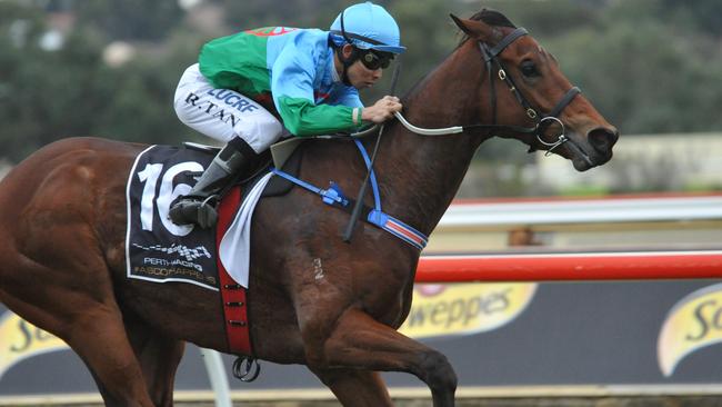 Scales Of Justice is attempting to make it back-to-back Group 1 wins in Saturday’s Kingston Town Classic at Ascot.