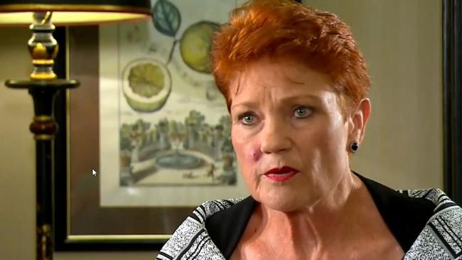 Pauline Hanson said she had not watched all of the Al Jazeera documentary. Picture: Today Show