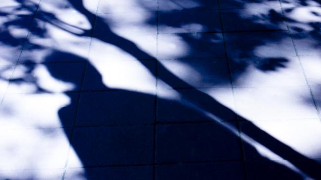 Blurry shadow of a man and a tree on city street in the night. Creepy. Predator. Generic. Picture: iStock