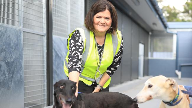 Local Government Minister Shelley Hancock. Picture: Christian Gilles / NCA NewsWire