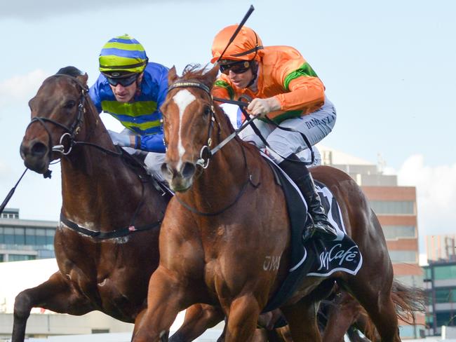 Shooting For Gold ridden by Damian Lane wins the The McCaf? 1100 Stakes at Caulfield Racecourse on August 27, 2022 in Caulfield, Australia. (Photo by Reg Ryan/Racing Photos via Getty Images)